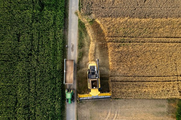 ¿Cómo puede la tecnología contribuir a mejorar el suministro global de alimentos?