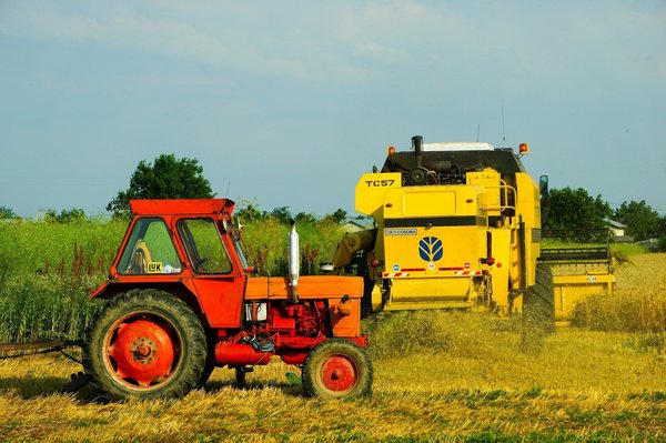La lutte biologique, une alternative naturelle pour protéger votre jardin sans produits chimiques