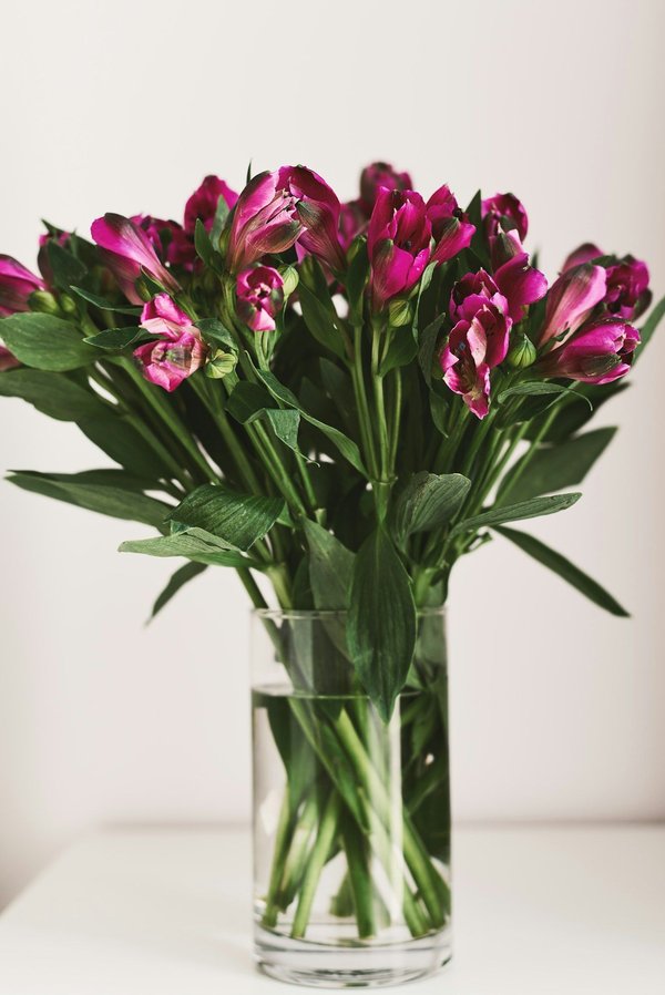 Découvrez la beauté du grand vase transparent